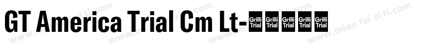 GT America Trial Cm Lt字体转换
